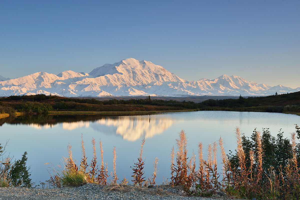 10 Things You Can't Miss On Your First Visit to Denali - Dirt In